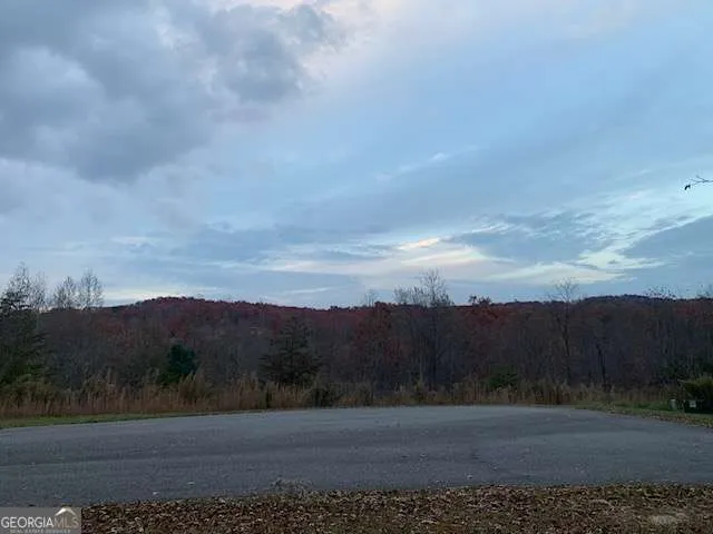 LOT 4 Courtney LN Blairsville, GA 30512