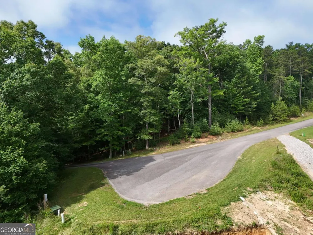 LOT 4 Courtney LN Blairsville, GA 30512