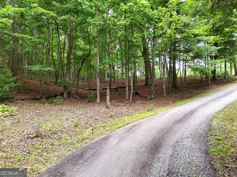LOT 4 Courtney LN Blairsville, GA 30512
