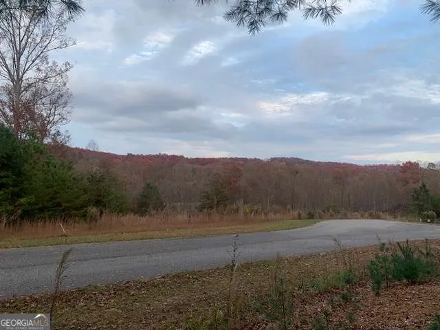 LOT 4 Courtney LN Blairsville, GA 30512