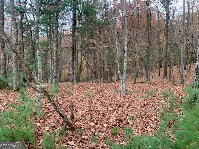 LOT 4 Courtney LN Blairsville, GA 30512
