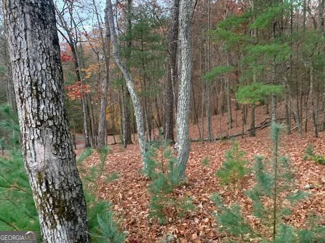 LOT 4 Courtney LN Blairsville, GA 30512