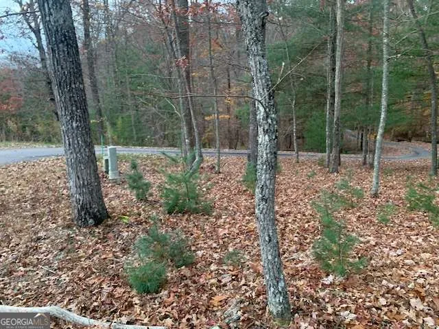 LOT 4 Courtney LN Blairsville, GA 30512
