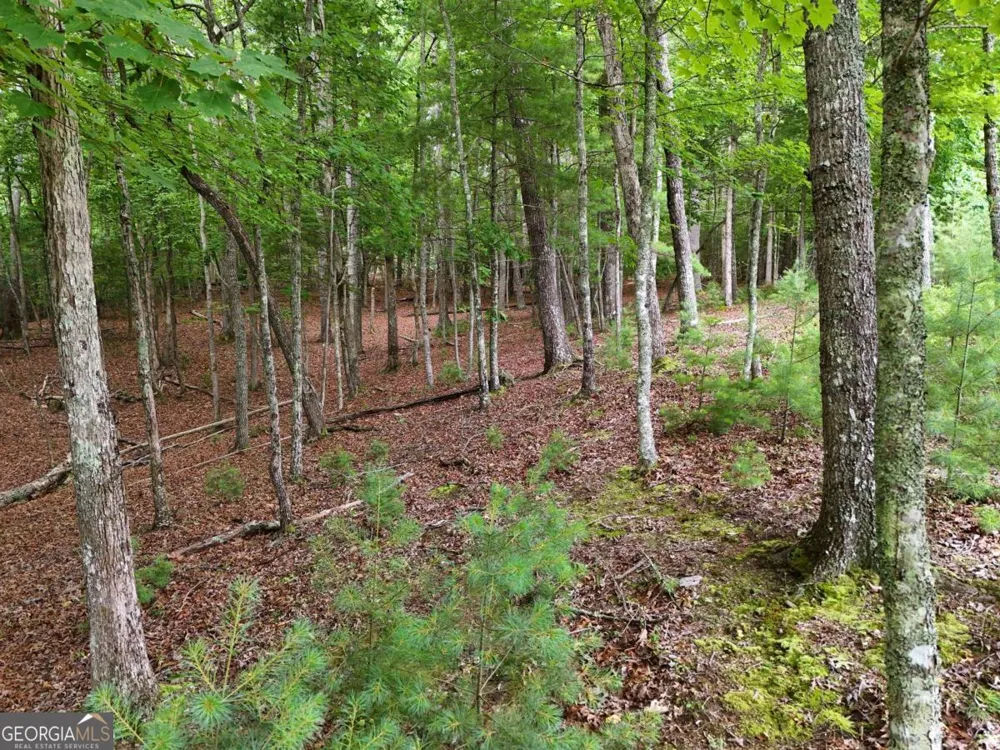 LOT 4 Courtney LN Blairsville, GA 30512