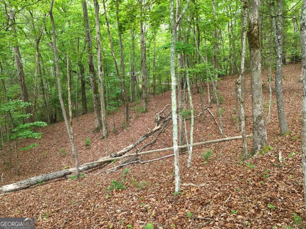 LOT 4 Courtney LN Blairsville, GA 30512