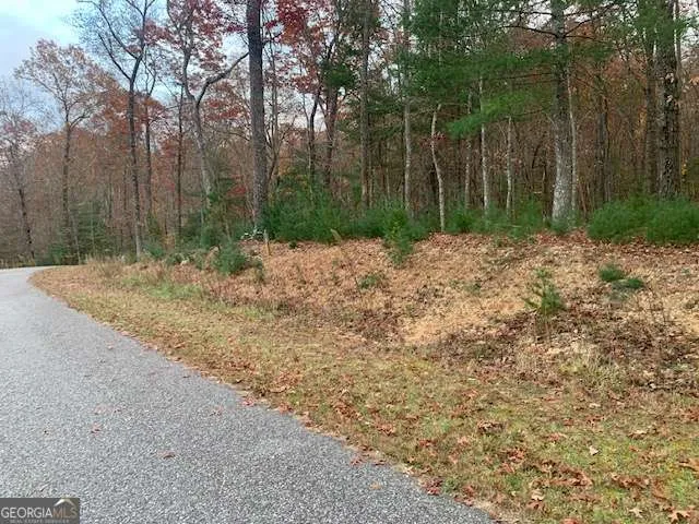 LOT 4 Courtney LN Blairsville, GA 30512