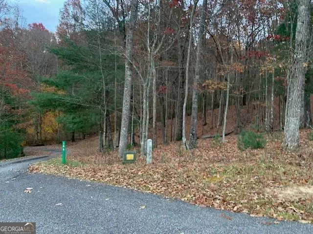 LOT 4 Courtney LN Blairsville, GA 30512