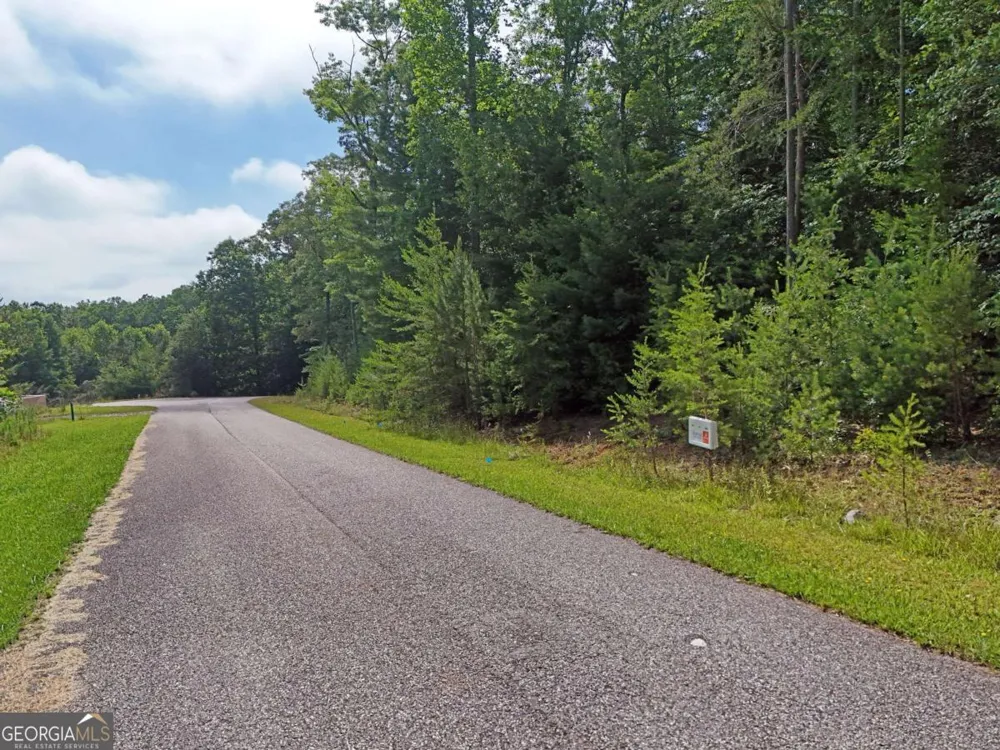 LOT 4 Courtney LN Blairsville, GA 30512