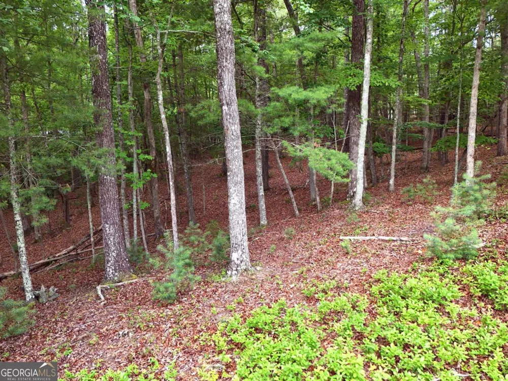LOT 4 Courtney LN Blairsville, GA 30512
