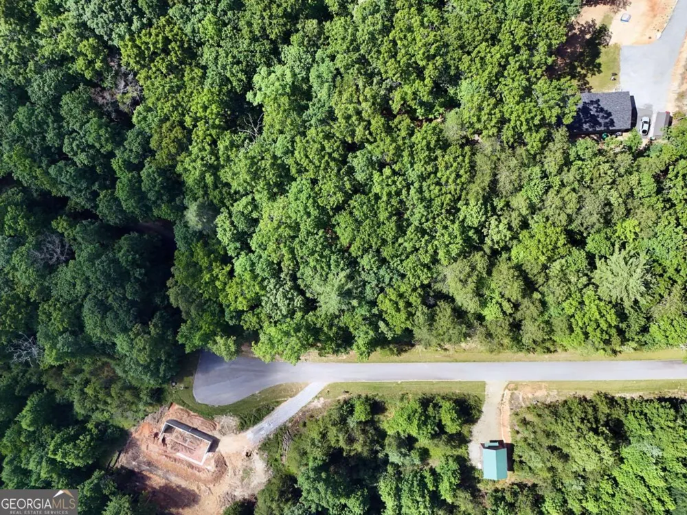 LOT 4 Courtney LN Blairsville, GA 30512