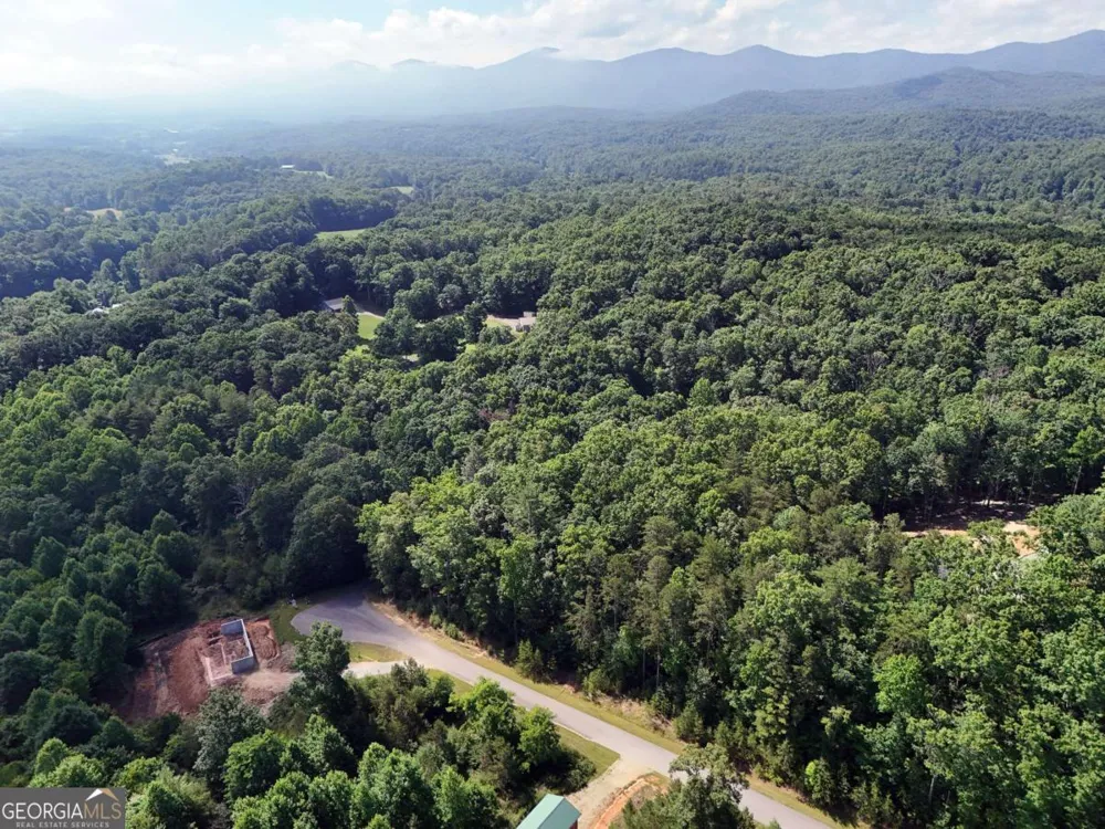 LOT 4 Courtney LN Blairsville, GA 30512