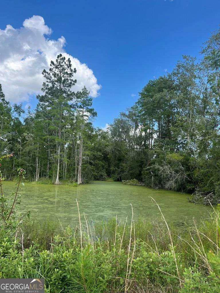 456 W Hwy 37 Lakeland, GA 31635