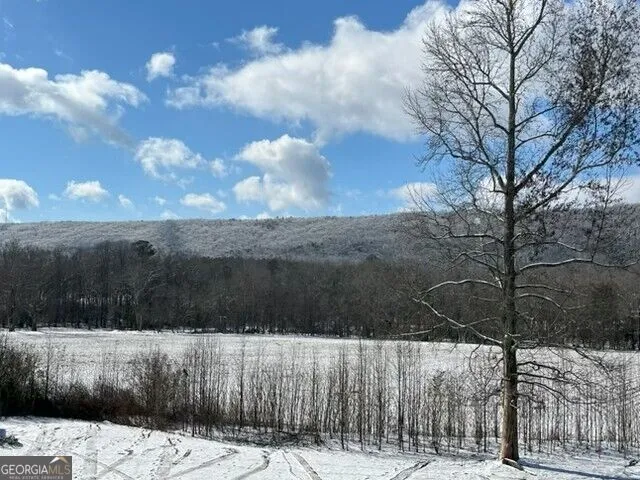 1254 Mountain Loop RD NW Sugar Valley, GA 30746