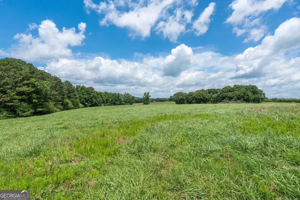3710 Veal ST Roopville, GA 30170