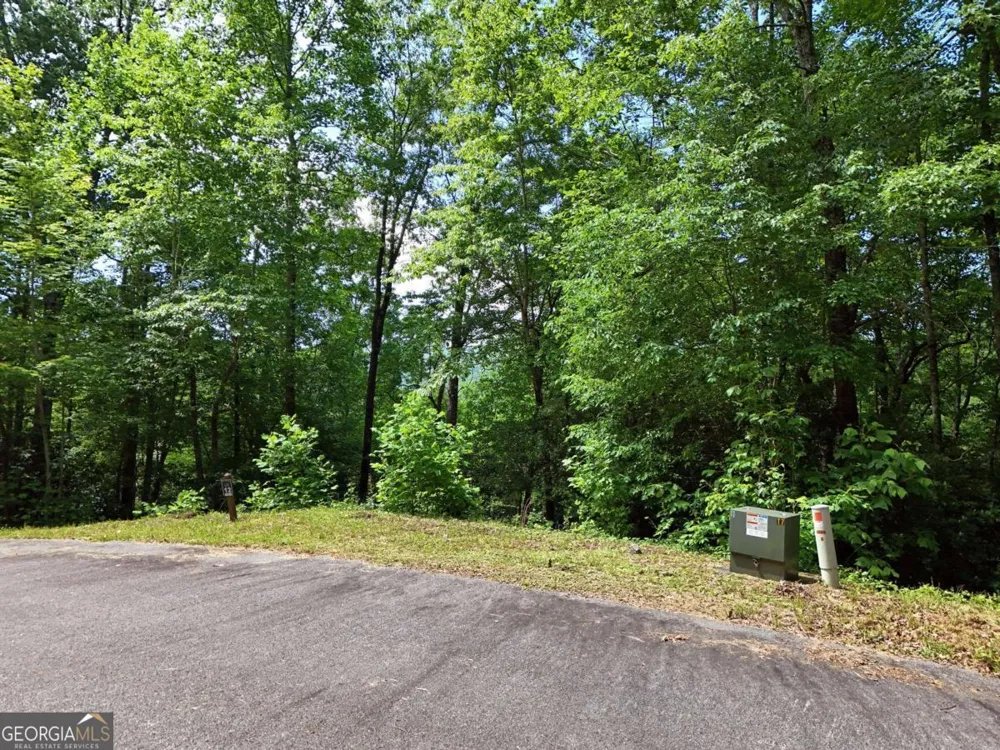 LOT 12 Hightower RDG Hiawassee, GA 30546
