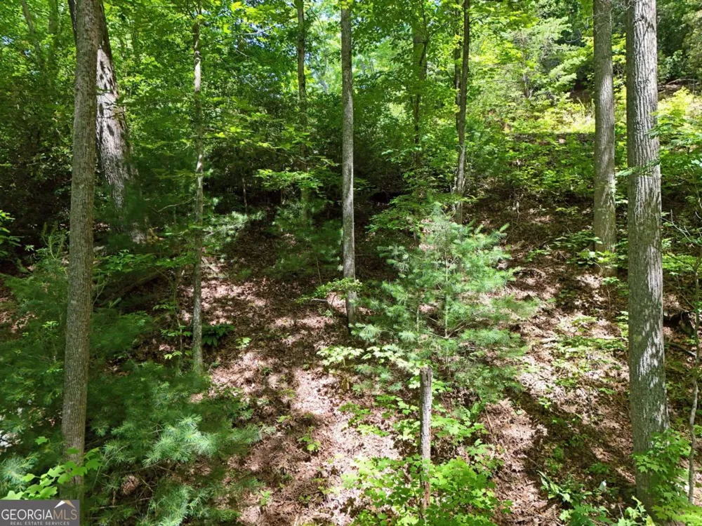 LOT 12 Hightower RDG Hiawassee, GA 30546