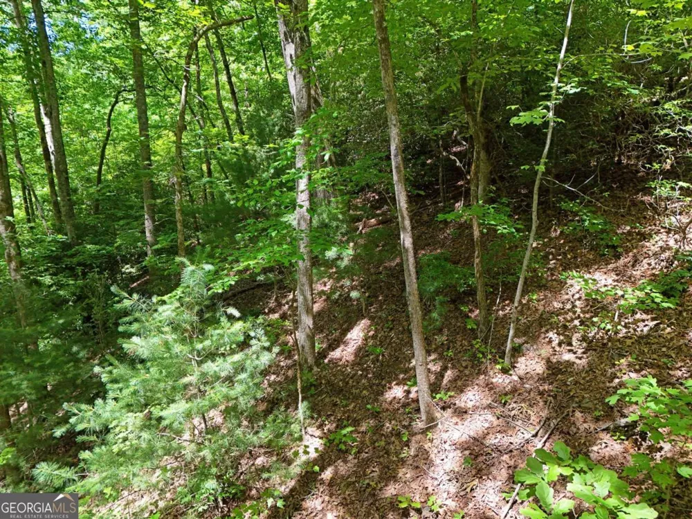 LOT 12 Hightower RDG Hiawassee, GA 30546