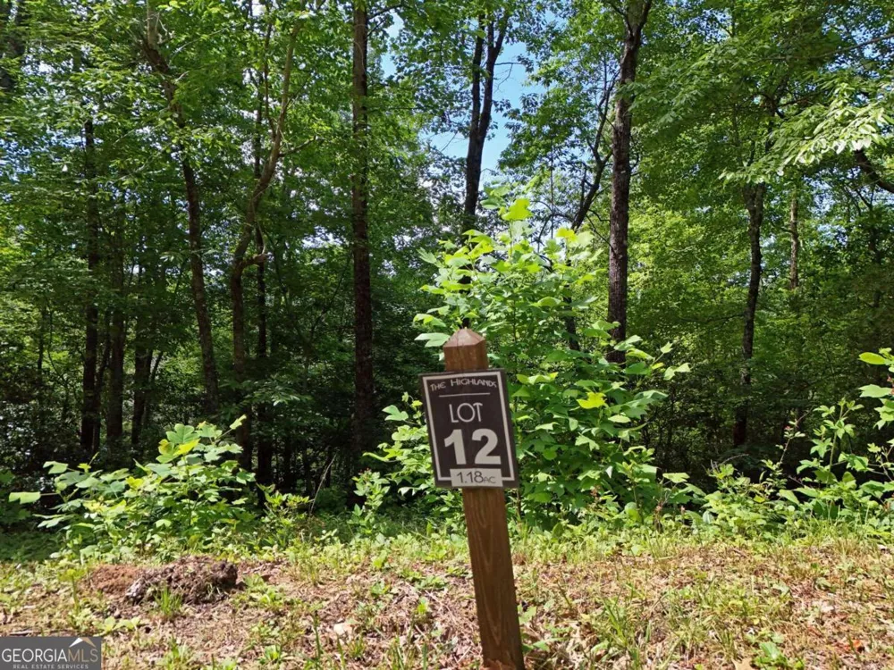 LOT 12 Hightower RDG Hiawassee, GA 30546