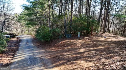 LOT 1 Gold Valley RD