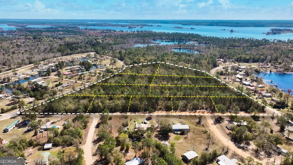 8249 Lake Carroll DR Donalsonville, GA 39845