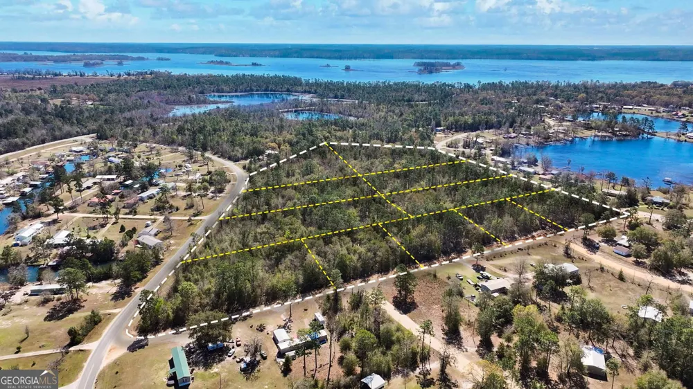 8249 Lake Carroll DR Donalsonville, GA 39845