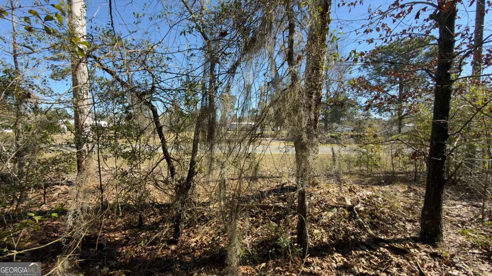 8249 Lake Carroll DR Donalsonville, GA 39845