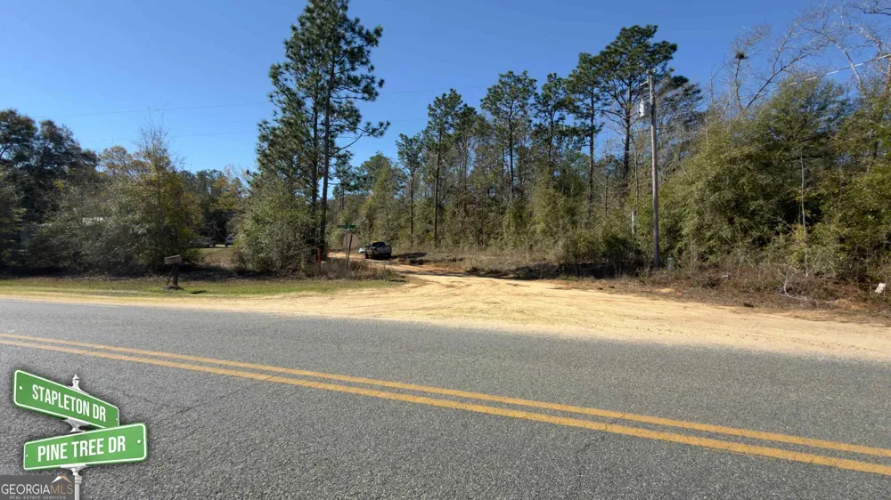 8249 Lake Carroll DR Donalsonville, GA 39845