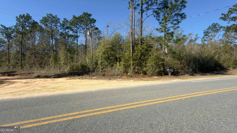 8249 Lake Carroll DR Donalsonville, GA 39845
