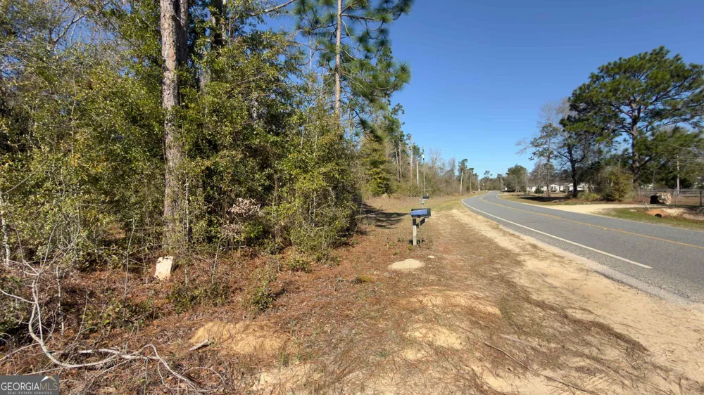 8249 Lake Carroll DR Donalsonville, GA 39845