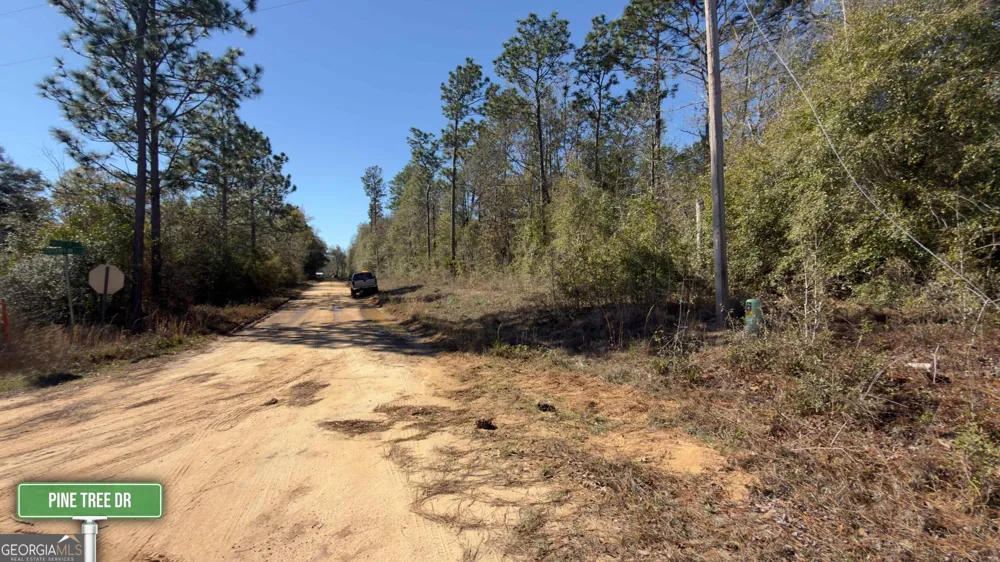 8249 Lake Carroll DR Donalsonville, GA 39845