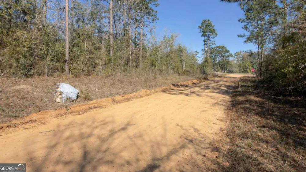 8249 Lake Carroll DR Donalsonville, GA 39845