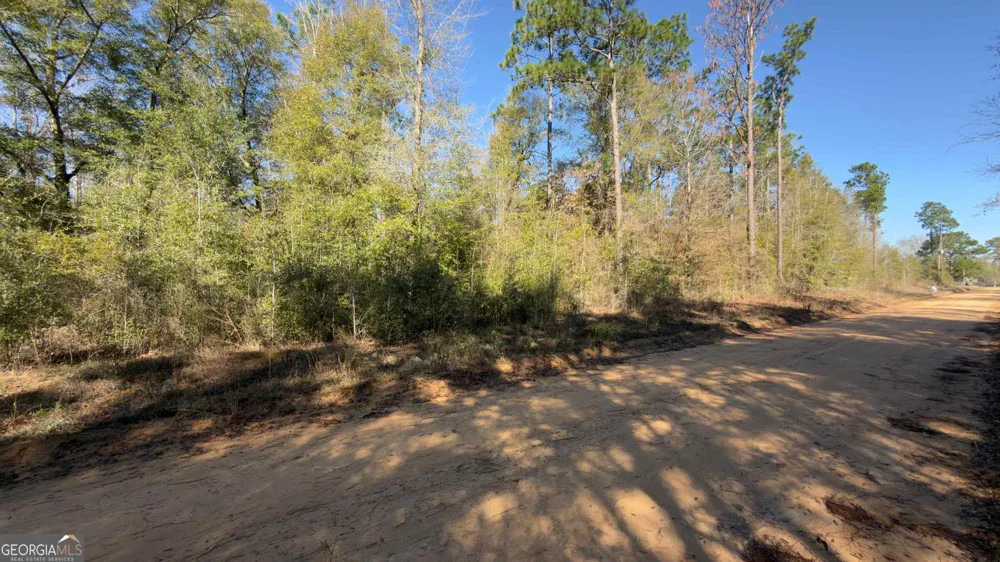 8249 Lake Carroll DR Donalsonville, GA 39845