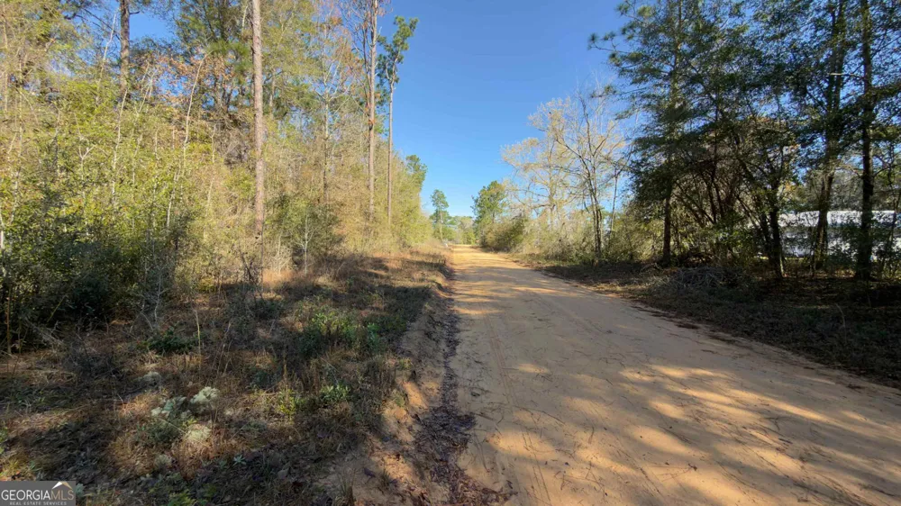 8249 Lake Carroll DR Donalsonville, GA 39845