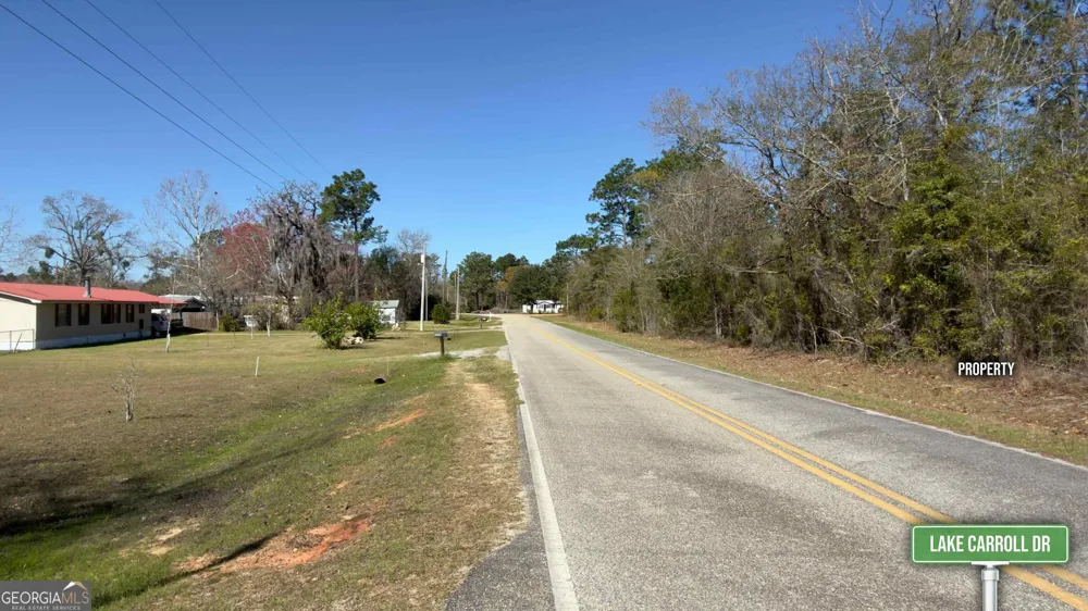 8249 Lake Carroll DR Donalsonville, GA 39845