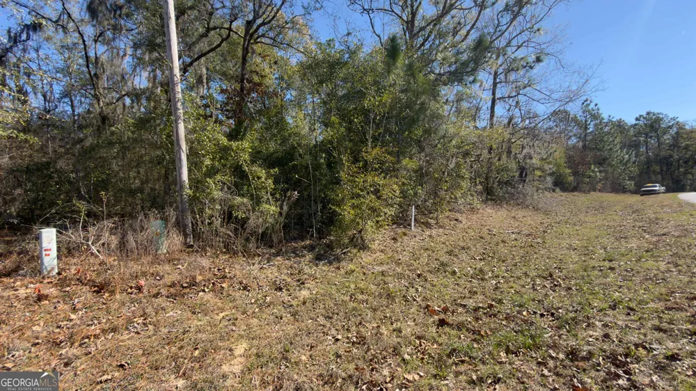 8249 Lake Carroll DR Donalsonville, GA 39845