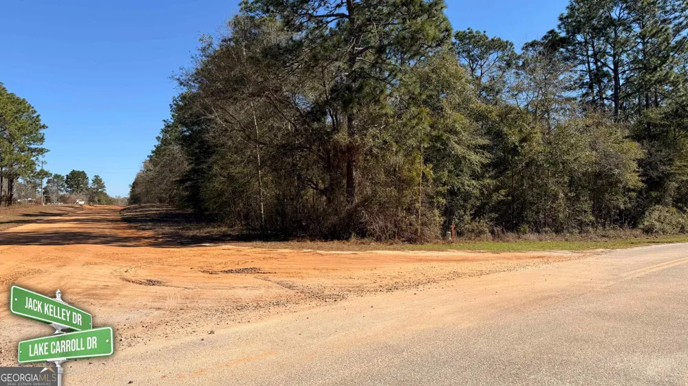 8249 Lake Carroll DR Donalsonville, GA 39845