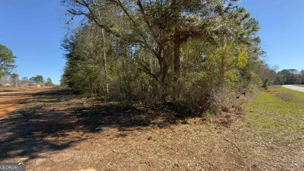 8249 Lake Carroll DR Donalsonville, GA 39845