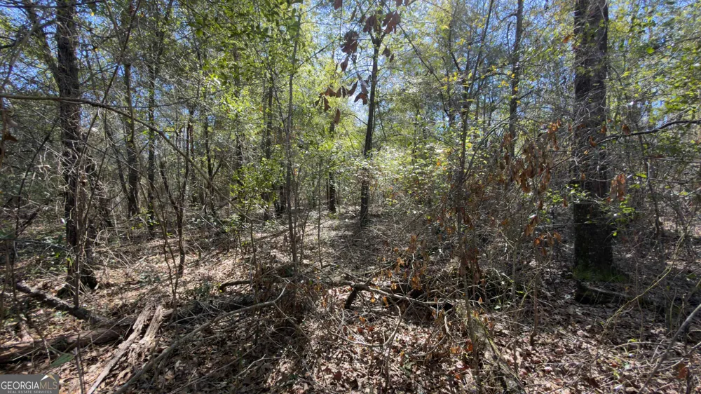 8249 Lake Carroll DR Donalsonville, GA 39845