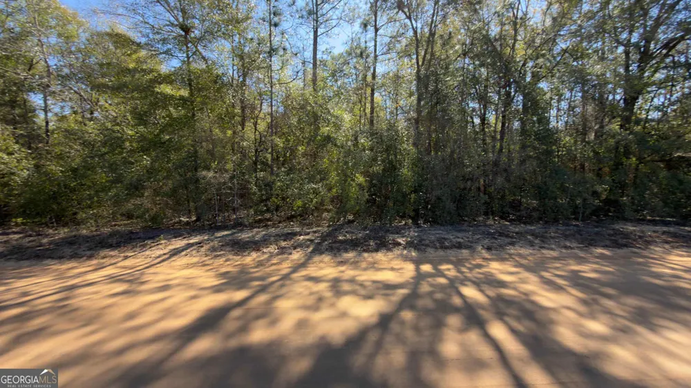 8249 Lake Carroll DR Donalsonville, GA 39845