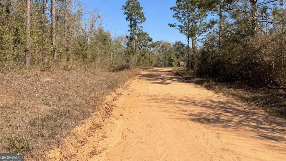 8249 Lake Carroll DR Donalsonville, GA 39845