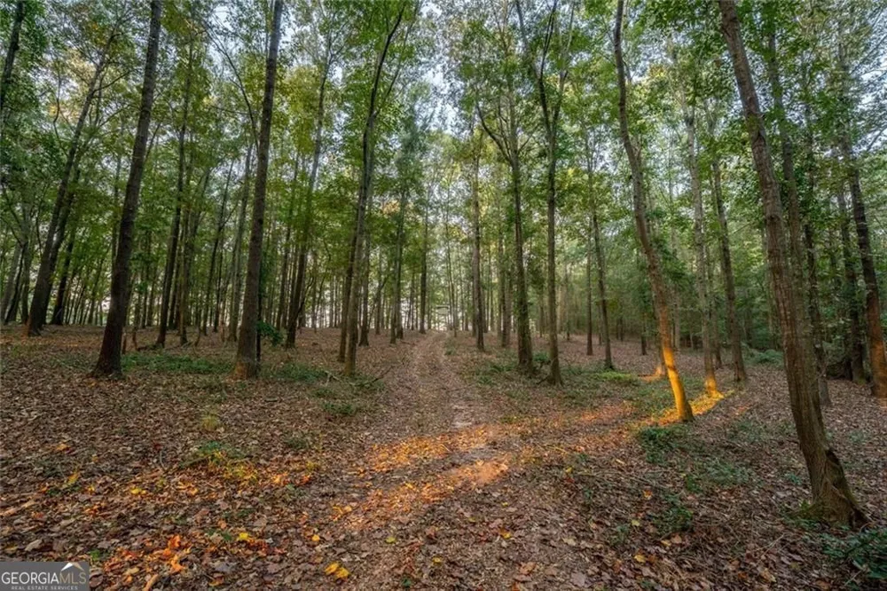 195 Sims Farm Way Maysville, GA 30558