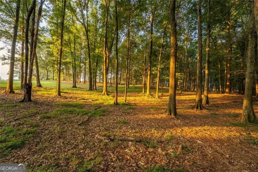 195 Sims Farm Way Maysville, GA 30558