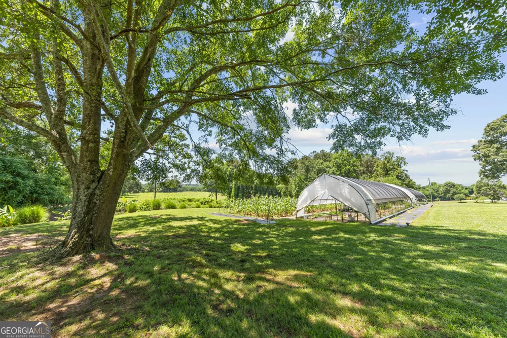 195 Sims Farm Way Maysville, GA 30558