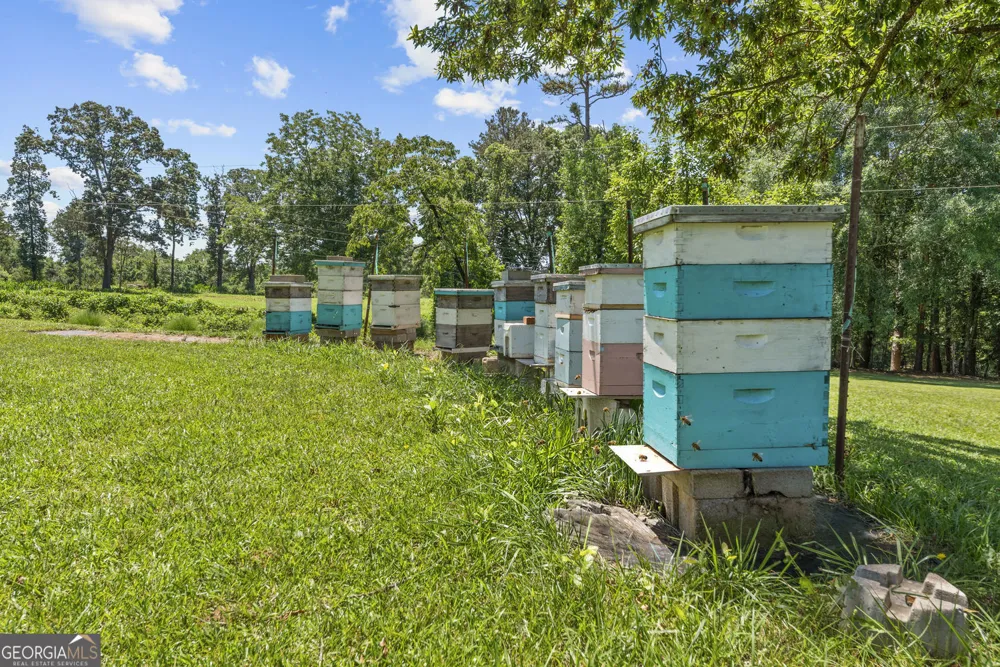 195 Sims Farm Way Maysville, GA 30558