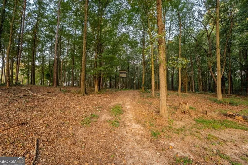 195 Sims Farm Way Maysville, GA 30558