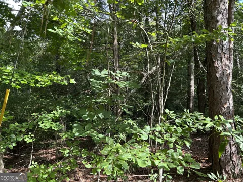 0 County Road 329
