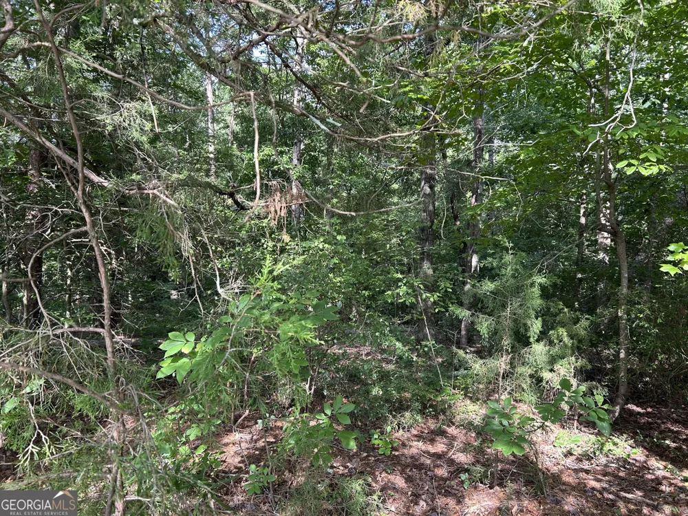 0 County Road 329 Wedowee, AL 36278