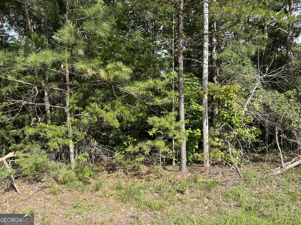0 County Road 329 Wedowee, AL 36278