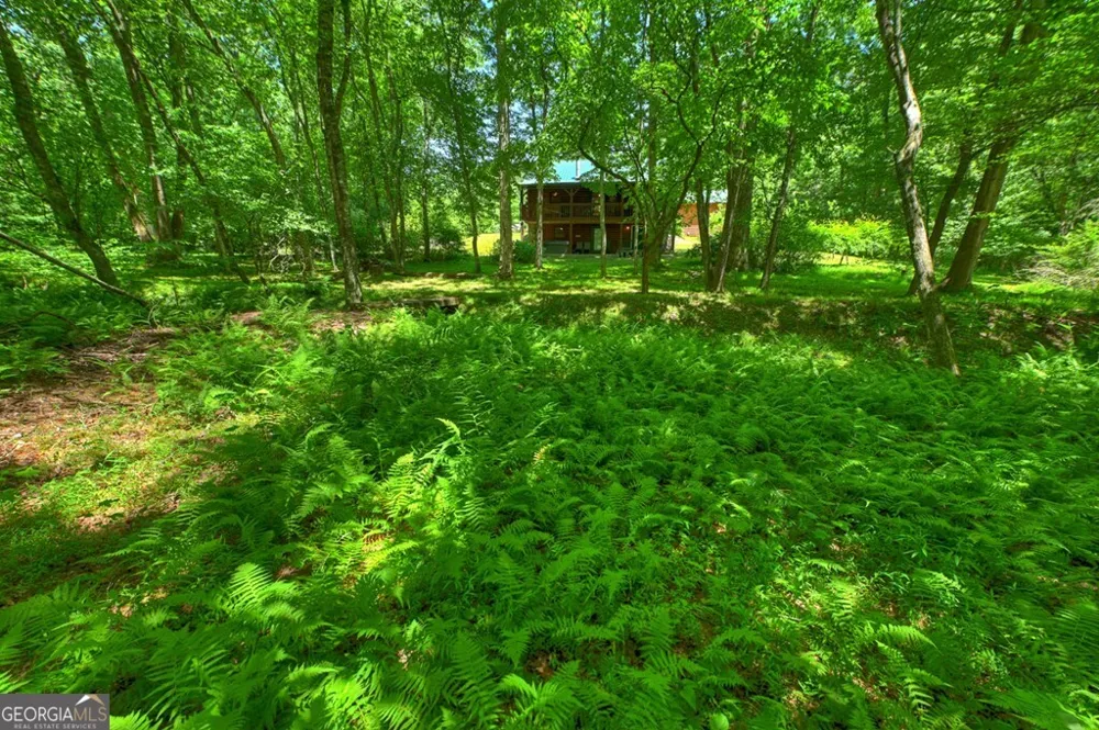 6385 Hwy 2 Epworth, GA 30541