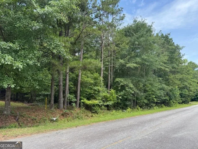2320 Sofkee CIR Lizella, GA 31052